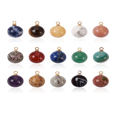 Yilisi 30Pcs 15 Colors Natural Gemstone Charms G-YS0001-01-1