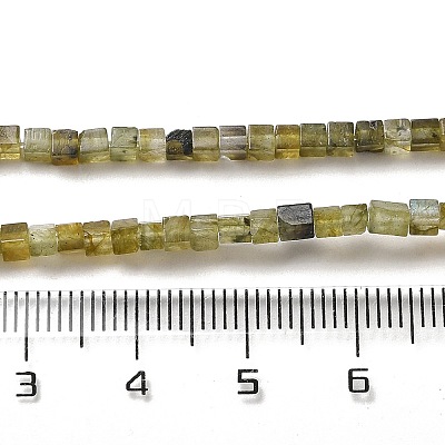 Natural Labradorite Beads Strands G-B064-A32-1