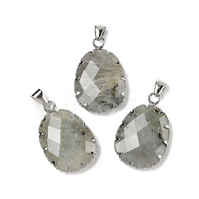 Natural Labradorite Pendants G-H086-01P-05-1