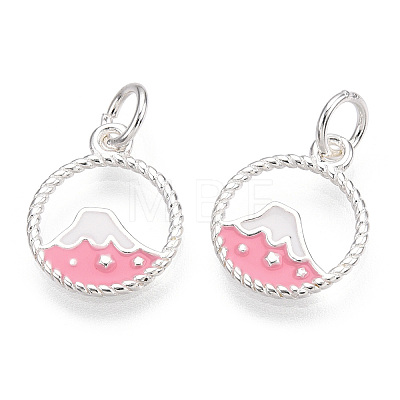 925 Sterling Silver Enamel Charms STER-T004-06S-01-1