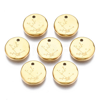 316 Surgical Stainless Steel Charms LS-STAS-S116-418A-G-1