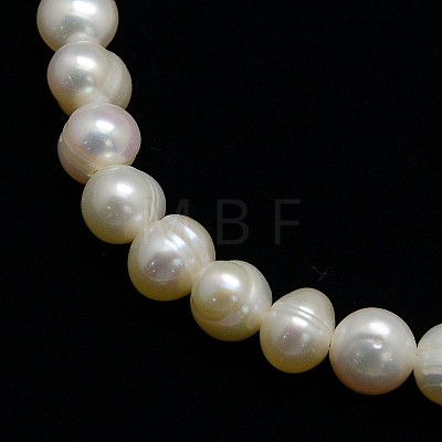 Natural Cultured Freshwater Pearl Beads Strands PEAR-N013-06I-1