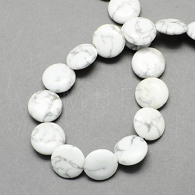 Flat Round Gemstone Natural Howlite Stone Beads Strands X-G-S110-21-1