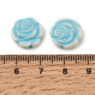 Painted Opaque Acrylic Beads AC-CBAA127-02C-1