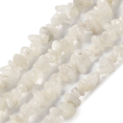 Natural Rainbow Moonstone Beads Strands G-F771-B03-01-1