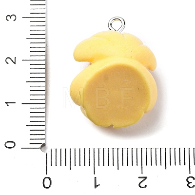 Opaque Resin Pendants RESI-P043-01P-03-1