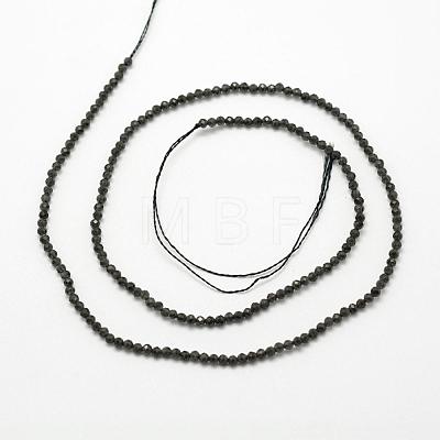 Natural Obsidian Beads Strands G-F507-02-1