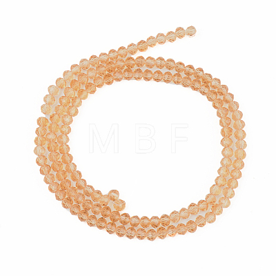 Glass Beads Strands EGLA-A034-T2mm-D23-1