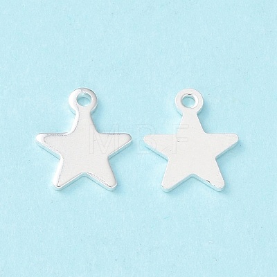 304 Stainless Steel Charms STAS-L234-069S-1