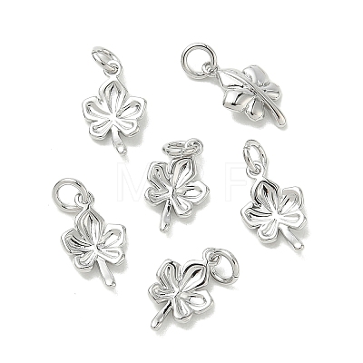 SHEGRACE Brass Charms XGRQ3D575-460P-1