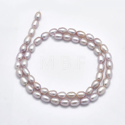 Natural Cultured Freshwater Pearl Beads Strands PEAR-F007-76B-01-1