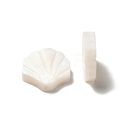 Natural Freshwater Shell Beads BSHE-E026-06-1