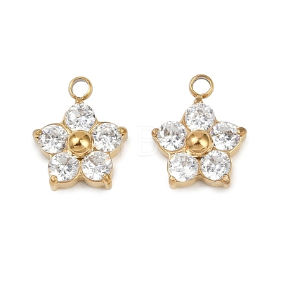 304 Stainless Steel Micro Pave Cubic Zirconia Charms STAS-B088-01G-02-1