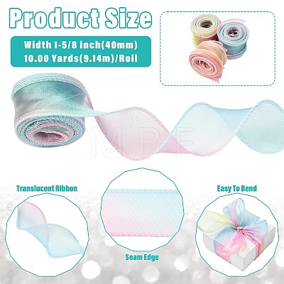 Polyester Organza Ribbon SRIB-FZC0001-001E-1