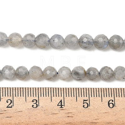 Natural Labradorite Beads Strands G-L642-F07-6mm-1