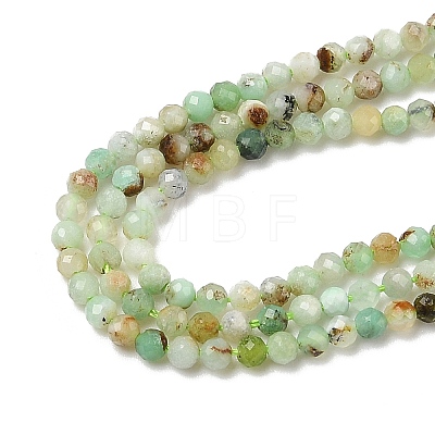 Natural Chalcedony Beads Strands G-RM250104-D9-1