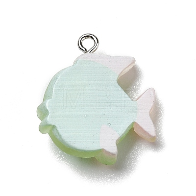 Opaque Resin Pendants RESI-D055-095P-1