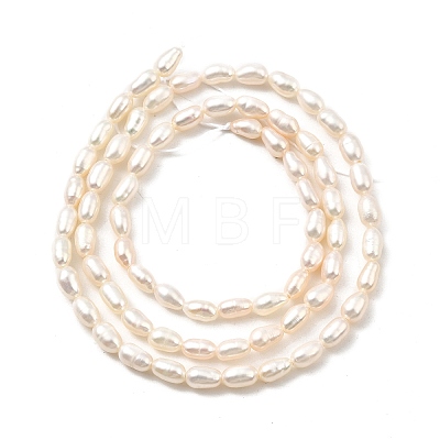 Natural Cultured Freshwater Pearl Beads Strands PEAR-I007-01L-01B-1