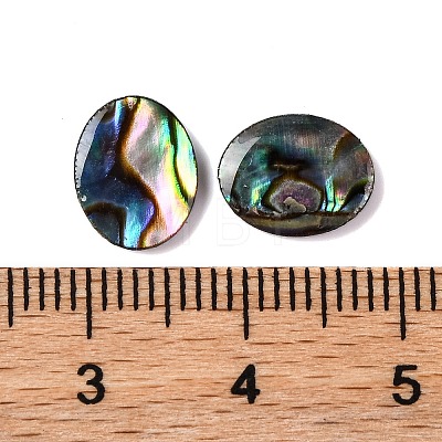 Natural Paua Shell Epoxy Resin Cabochons SSHEL-S279-01G-1