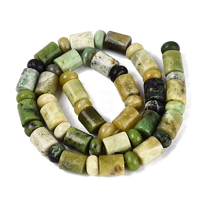 Natural Serpentine Beads Strands G-Q616-09H-1