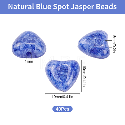 Natural Blue Spot Jasper Beads Strands G-SC0002-09H-1