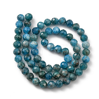 Natural Apatite Beads Strands G-G927-32-6MM-1