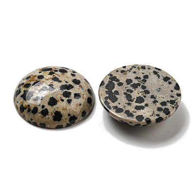 Natural Dalmatian Jasper Cabochons G-C115-02B-21-1