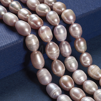 Natural Cultured Freshwater Pearl Beads Strands PEAR-R064-16-1