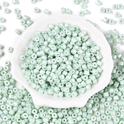 Baking Paint Pearlized Glass Seed Beads SEED-T008-03P-1