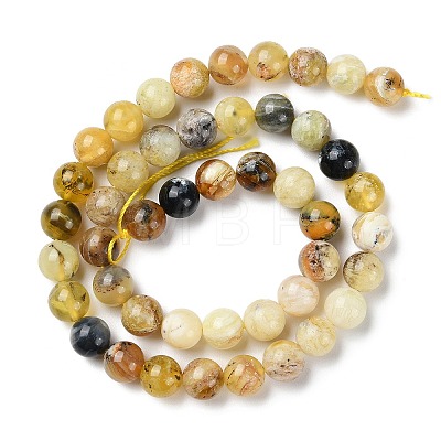 Natural Yellow Opal Beads Strands G-Q1001-A02-02-1