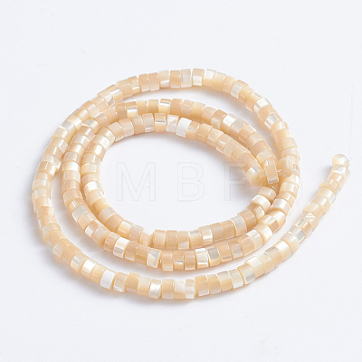 Natural Trochid Shell/Trochus Shell Beads Strands SSHEL-L016-13-1