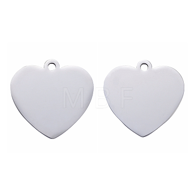 Tarnish Resistant 304 Stainless Steel Pendants LS-STAS-I140-10B-S-1