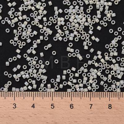 Cylinder Seed Beads SEED-H001-F08-1
