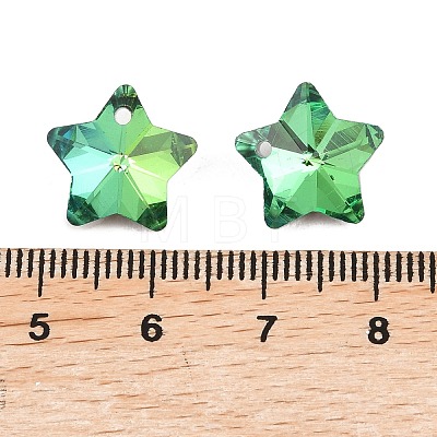 Electroplate Glass Charms GLAA-H104-A05-1