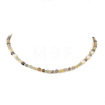 Faceted Natural Fluorite and Pearl Beaded Necklaces NJEW-JN06645-1