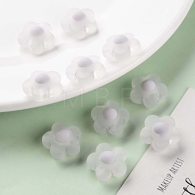 Transparent Acrylic Beads LS-TACR-S152-09C-06-1