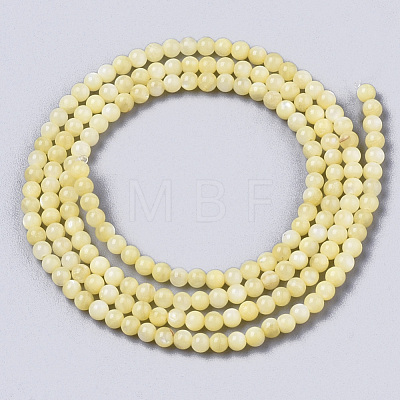 Natural Freshwater Shell Beads Strands X-BSHE-T009-01E-1