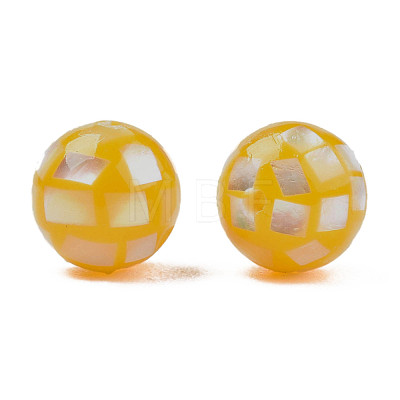 Natural Yellow Shell Beads SHEL-N026-189B-04-1