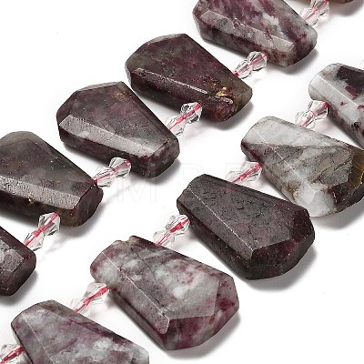 Natural Plum Blossom Tourmaline Beads Strands G-H078-A01-01-1