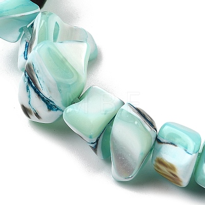 Natural Trochid Shell/Trochus Shell Beads Strands SHEL-B003-02K-1