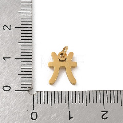 304 Stainless Steel Charms STAS-R001-04G-12-1