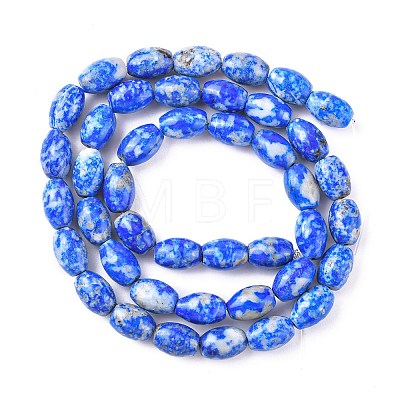 Natural Lapis Lazuli Beads Strands G-K311-10B-03-1