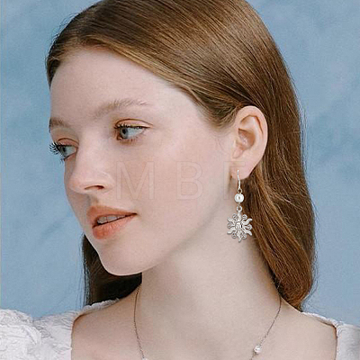 10 Pairs 925 Sterling Silver Earring Hooks STER-BBC0006-81-1