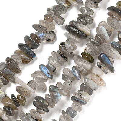 Natural Labradorite Beads Strands G-P332-23-1