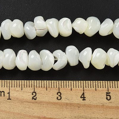 Natural Trochus Shell Beads Strands BSHE-G039-01B-1