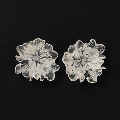 Transparent Resin Cabochons RESI-G027-01A-1
