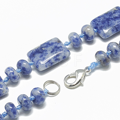 Natural Blue Spot Jasper Beaded Necklaces NJEW-S395-03-1