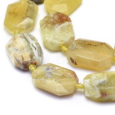 Natural Opal Beads Strands G-L552P-02C-1