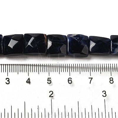 Natural Sodalite Beads Strands G-C109-A08-02-1