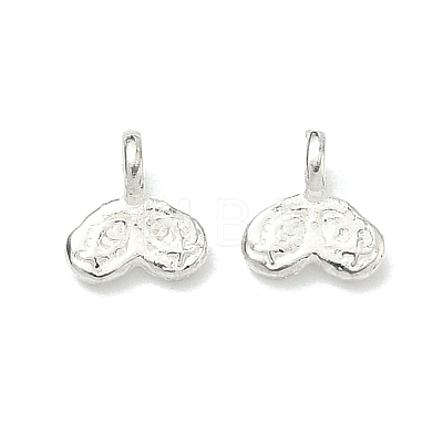 925 Sterling Silver Charms STER-A050-01A-S-1